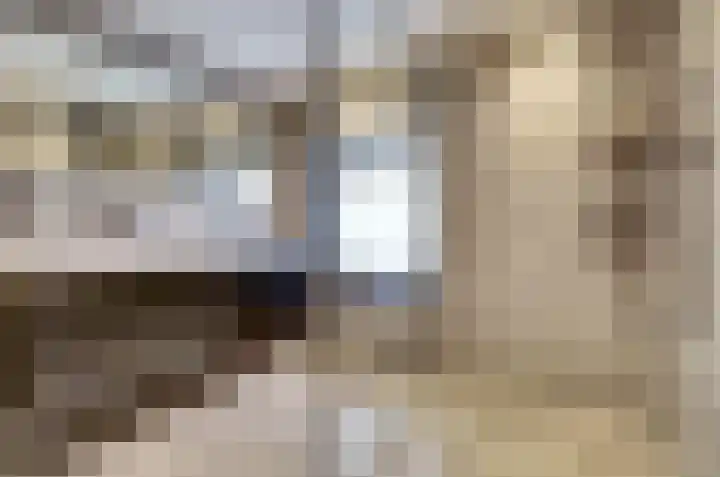 Jonkheer de la Courtstraat 28 Vlijmen thumbnail 33