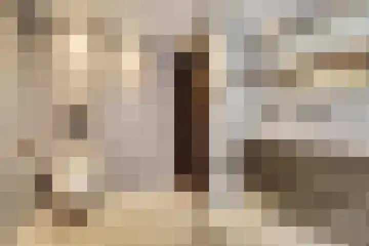 Jonkheer de la Courtstraat 28 Vlijmen thumbnail 35