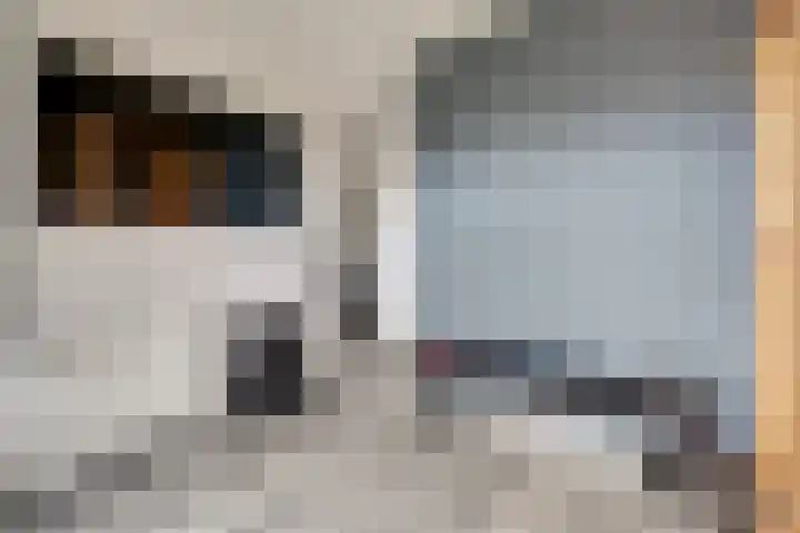 Jonkheer de la Courtstraat 28 Vlijmen thumbnail 38