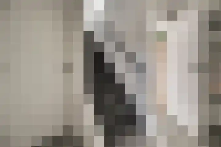 Jonkheer de la Courtstraat 28 Vlijmen thumbnail 39