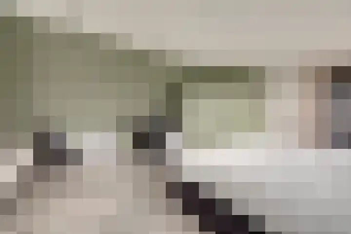 Jonkheer de la Courtstraat 28 Vlijmen thumbnail 42