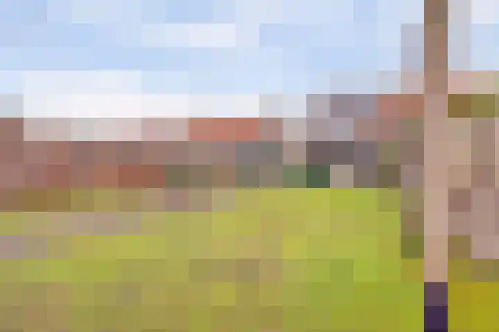 Jonkheer de la Courtstraat 28 Vlijmen thumbnail 45
