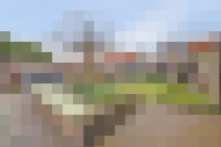 Jonkheer de la Courtstraat 28 Vlijmen thumbnail 54