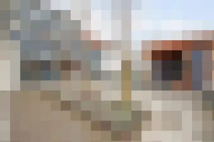 Jonkheer de la Courtstraat 28 Vlijmen thumbnail 55