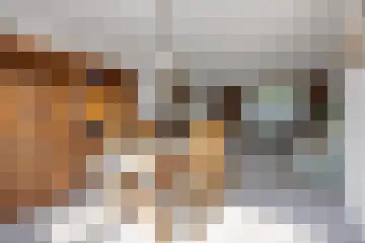 Jonkheer de la Courtstraat 33 Vlijmen thumbnail 11