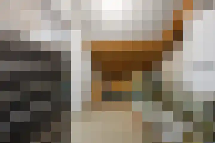 Jonkheer de la Courtstraat 33 Vlijmen thumbnail 23