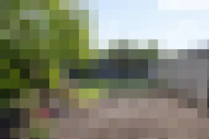 Jonkheer de la Courtstraat 33 Vlijmen thumbnail 31