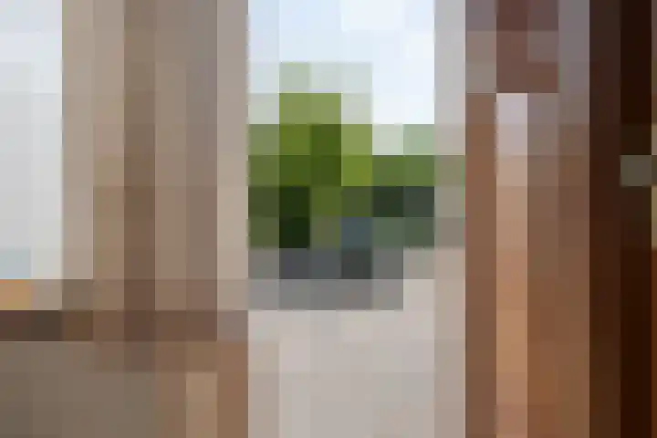 Jonkheer de la Courtstraat 33 Vlijmen thumbnail 32