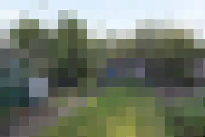 Jonkheer de la Courtstraat 33 Vlijmen thumbnail 4