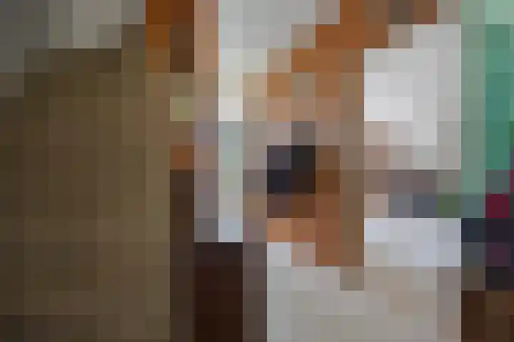Jonkheer de la Courtstraat 33 Vlijmen thumbnail 7