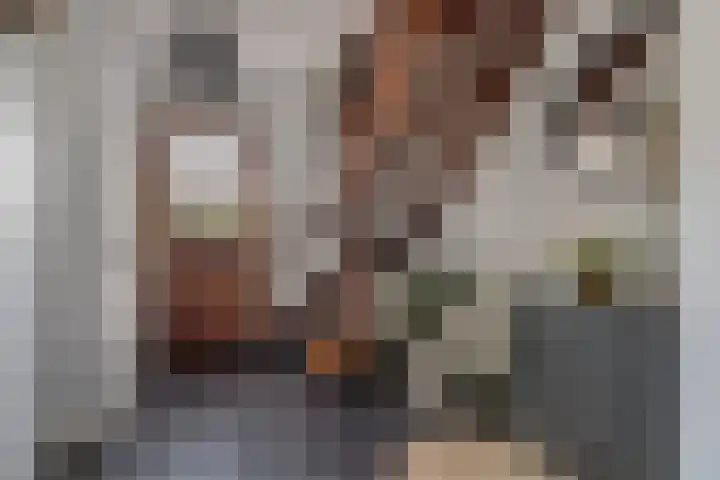 Jonkheer de la Courtstraat 6 Vlijmen thumbnail 11
