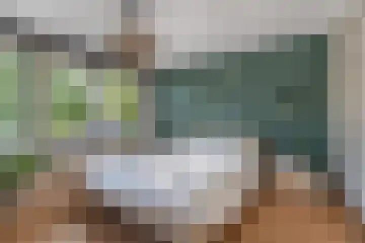 Jonkheer de la Courtstraat 6 Vlijmen thumbnail 12