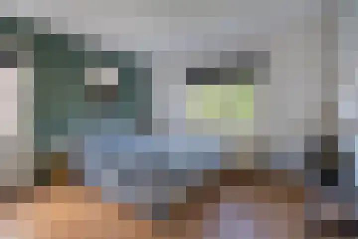 Jonkheer de la Courtstraat 6 Vlijmen thumbnail 14