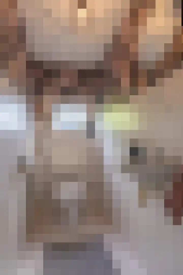 Jonkheer de la Courtstraat 6 Vlijmen thumbnail 15