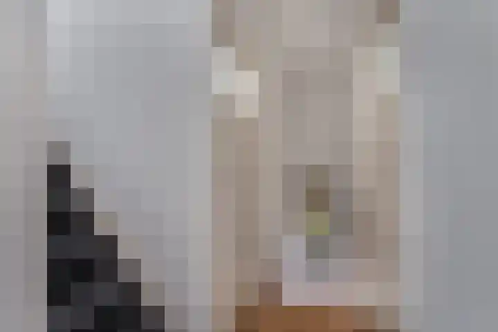 Jonkheer de la Courtstraat 6 Vlijmen thumbnail 16