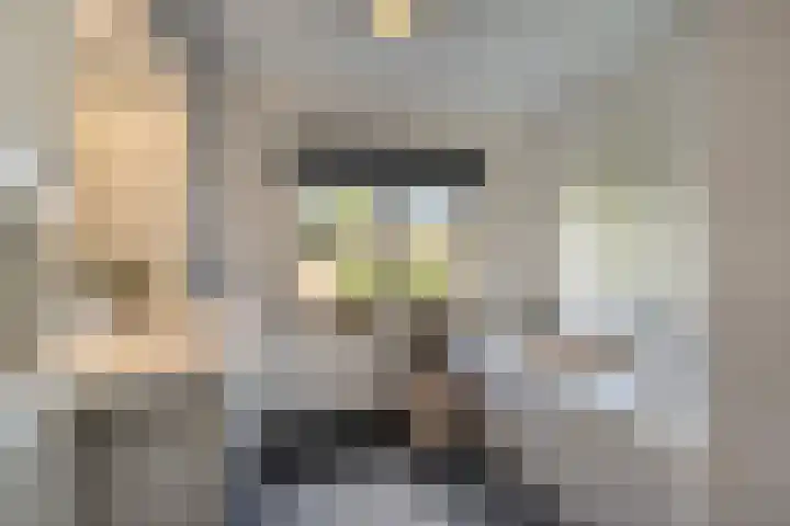 Jonkheer de la Courtstraat 6 Vlijmen thumbnail 17