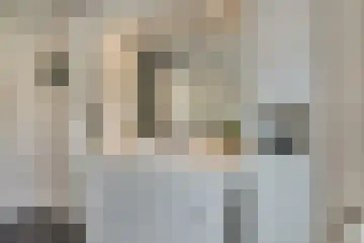 Jonkheer de la Courtstraat 6 Vlijmen thumbnail 18