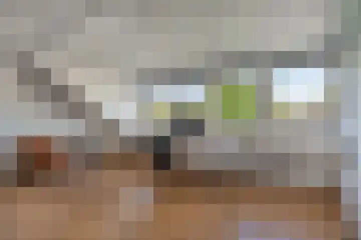 Jonkheer de la Courtstraat 6 Vlijmen thumbnail 21