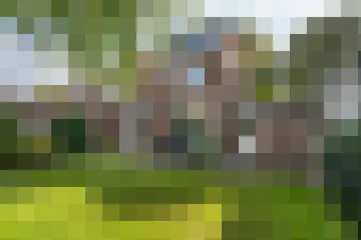 Jonkheer de la Courtstraat 6 Vlijmen thumbnail 23