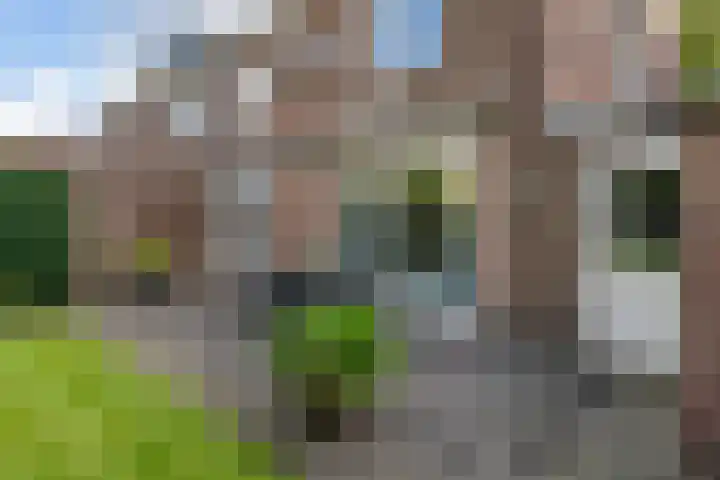 Jonkheer de la Courtstraat 6 Vlijmen thumbnail 24