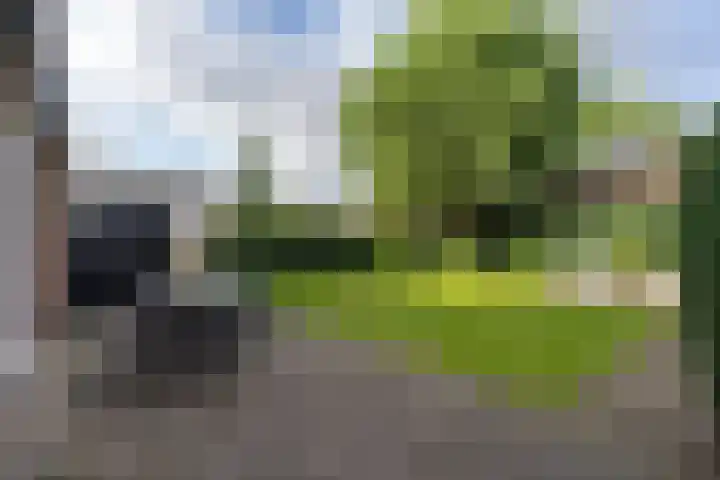 Jonkheer de la Courtstraat 6 Vlijmen thumbnail 25