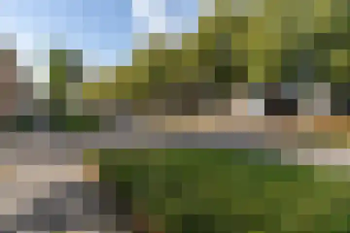 Jonkheer de la Courtstraat 6 Vlijmen thumbnail 27