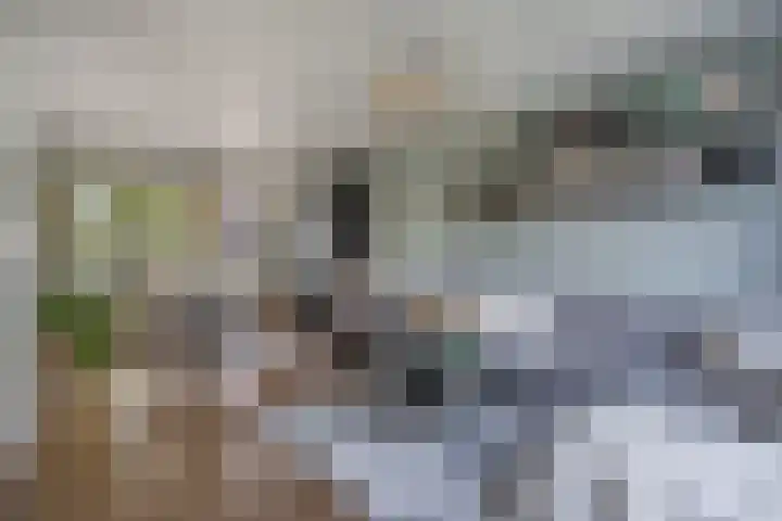 Jonkheer de la Courtstraat 6 Vlijmen thumbnail 4