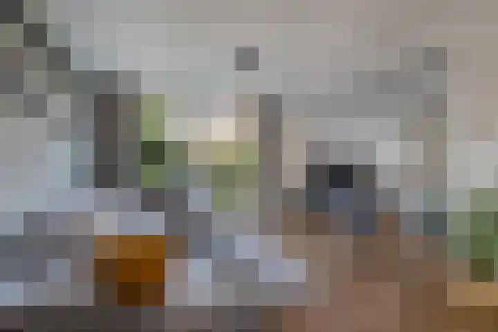 Jonkheer de la Courtstraat 6 Vlijmen thumbnail 5