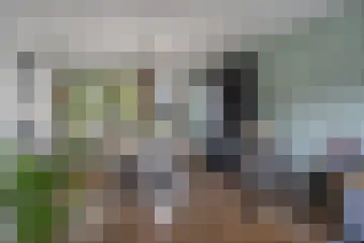 Jonkheer de la Courtstraat 6 Vlijmen thumbnail 6