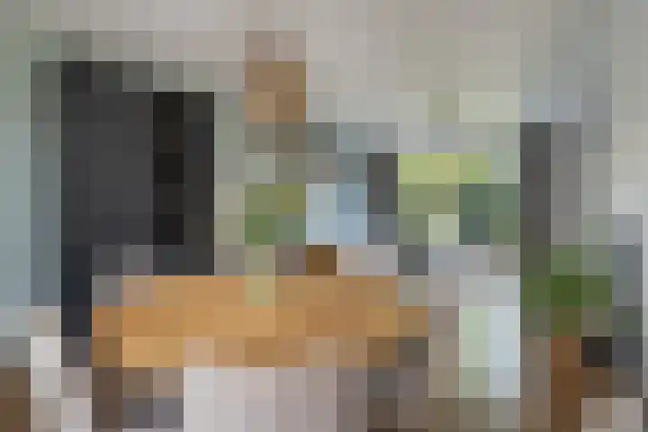 Jonkheer de la Courtstraat 6 Vlijmen thumbnail 7