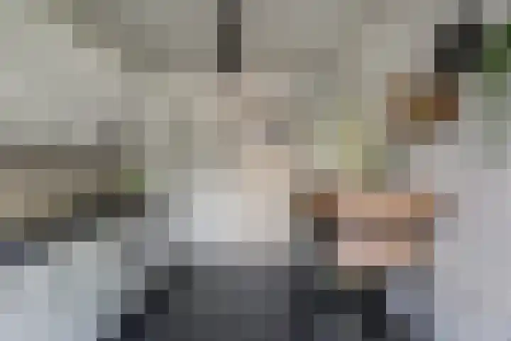 Jonkheer de la Courtstraat 6 Vlijmen thumbnail 9