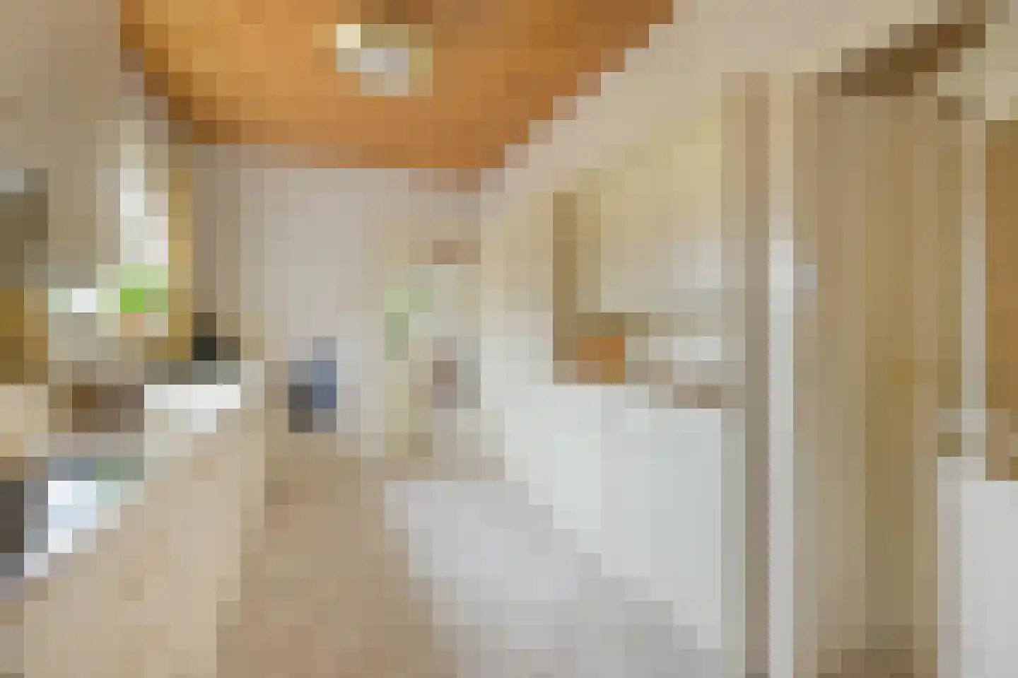 Jonkheer Geverslaan 13 Heemskerk thumbnail 11
