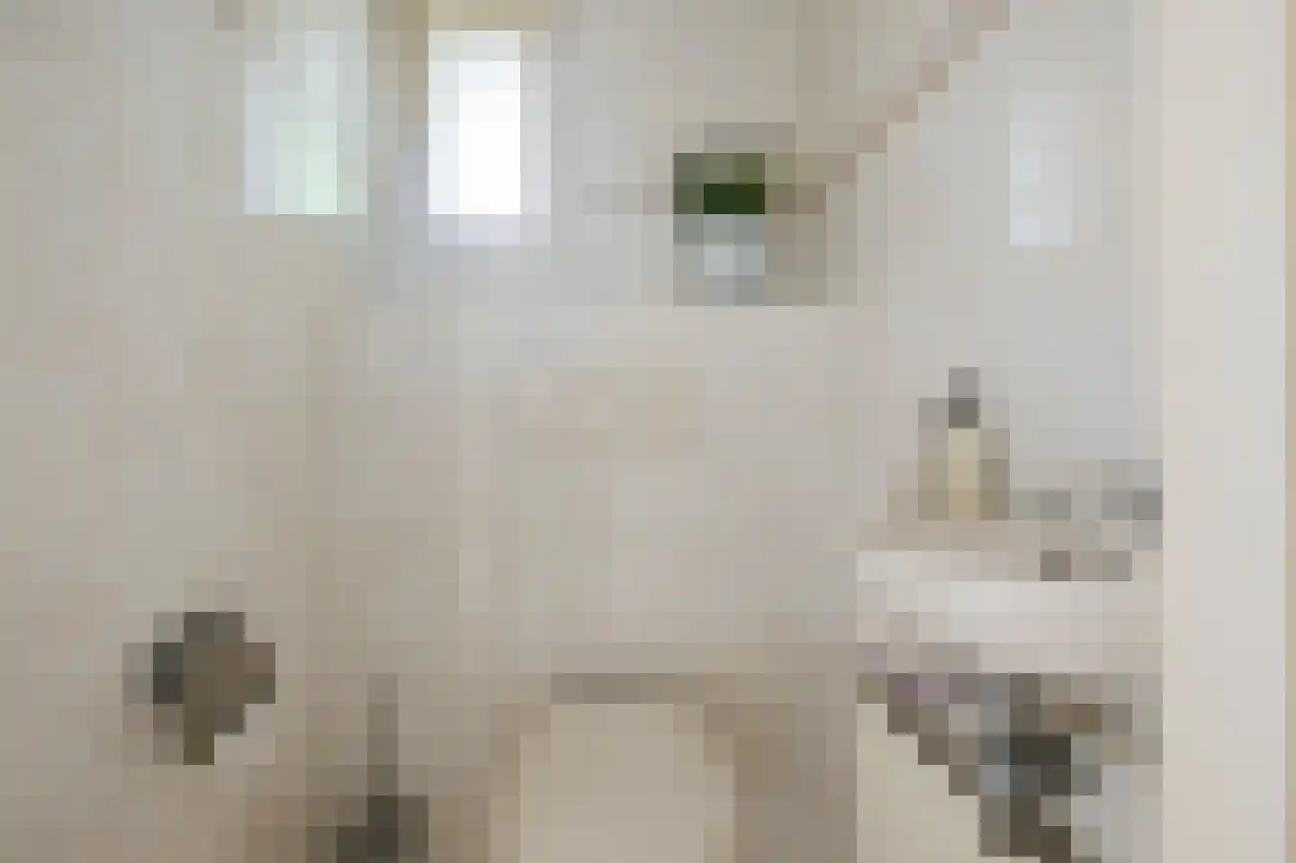 Jonkheer Geverslaan 13 Heemskerk thumbnail 19