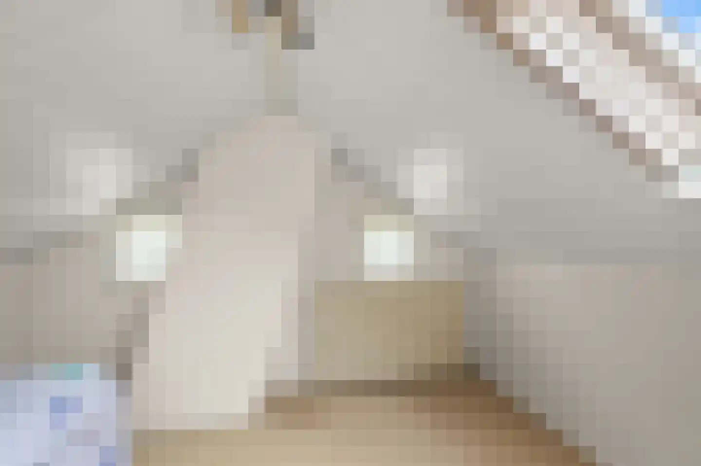 Jonkheer Geverslaan 13 Heemskerk thumbnail 33