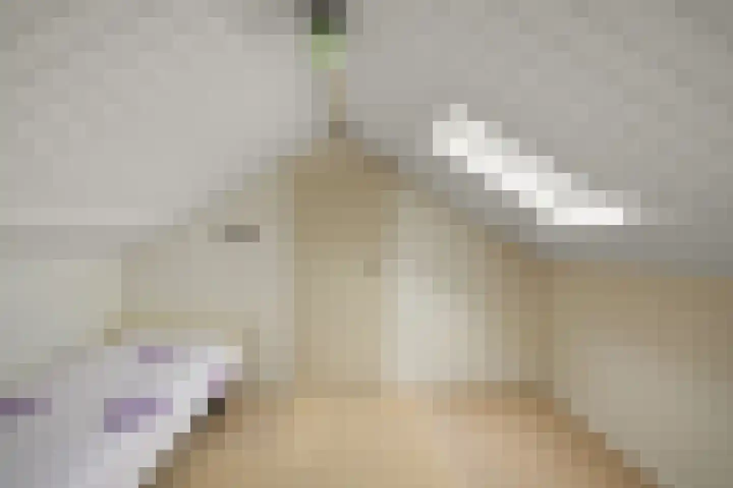 Jonkheer Geverslaan 13 Heemskerk thumbnail 36