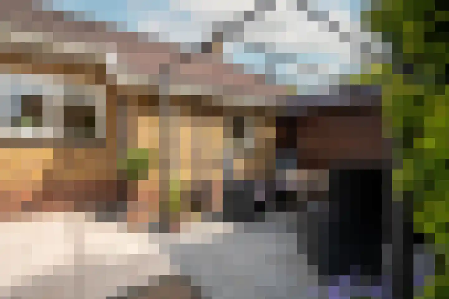 Jonkheer Geverslaan 13 Heemskerk thumbnail 45