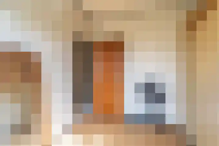 Jonkheer Geverslaan 17 Heemskerk thumbnail 18