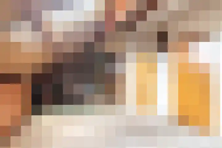 Jonkheer Geverslaan 17 Heemskerk thumbnail 28