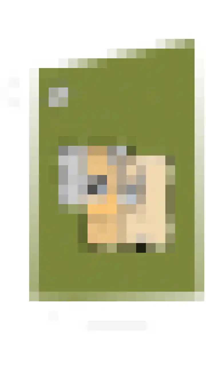 Jonkheer Geverslaan 17 Heemskerk thumbnail 35