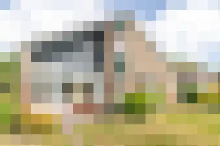 Jonkheer Geverslaan 17 Heemskerk thumbnail 36