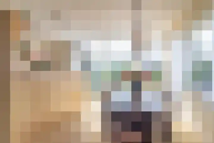 Jonkheer Geverslaan 17 Heemskerk thumbnail 8
