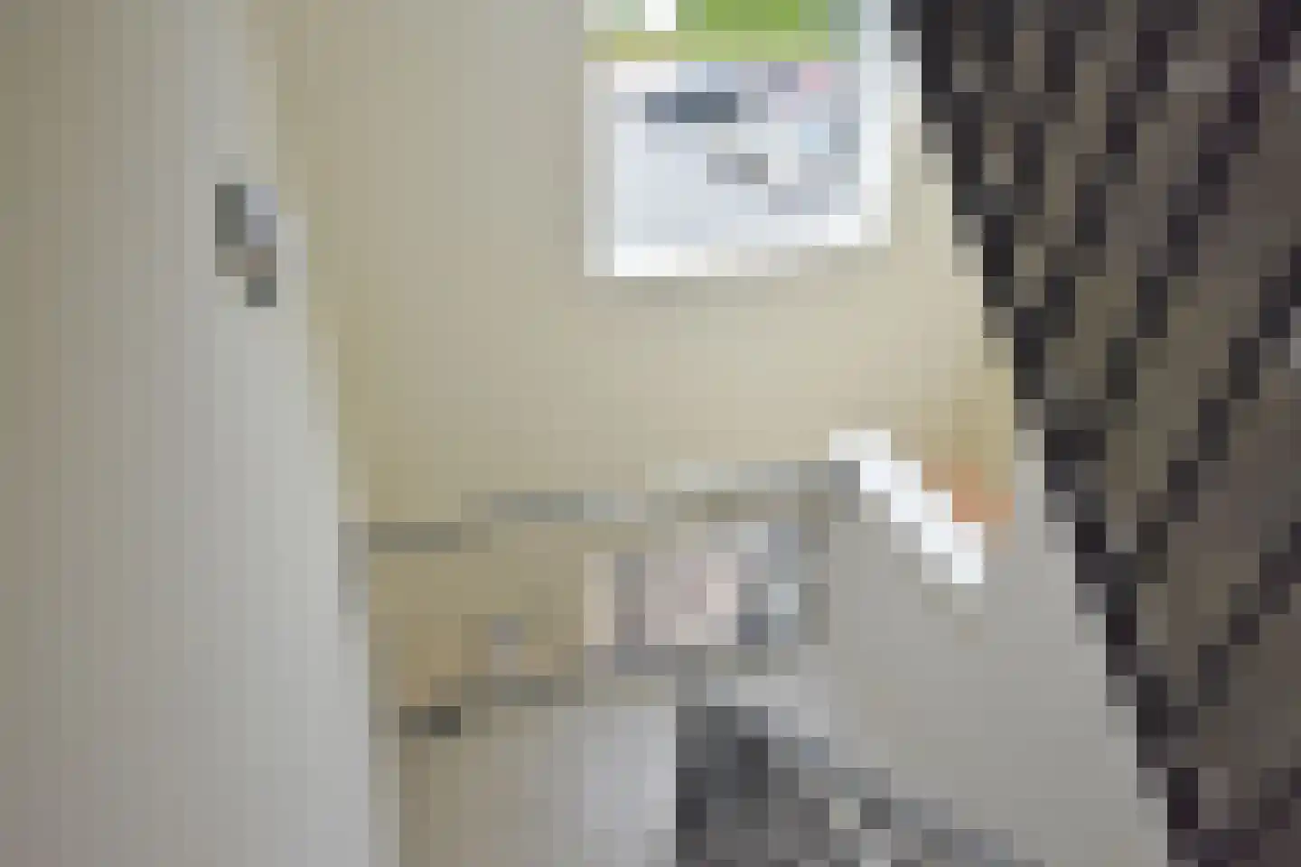 Jonkheer Hobbe Baerdt van Sminiaplein 23 Burgum thumbnail 13