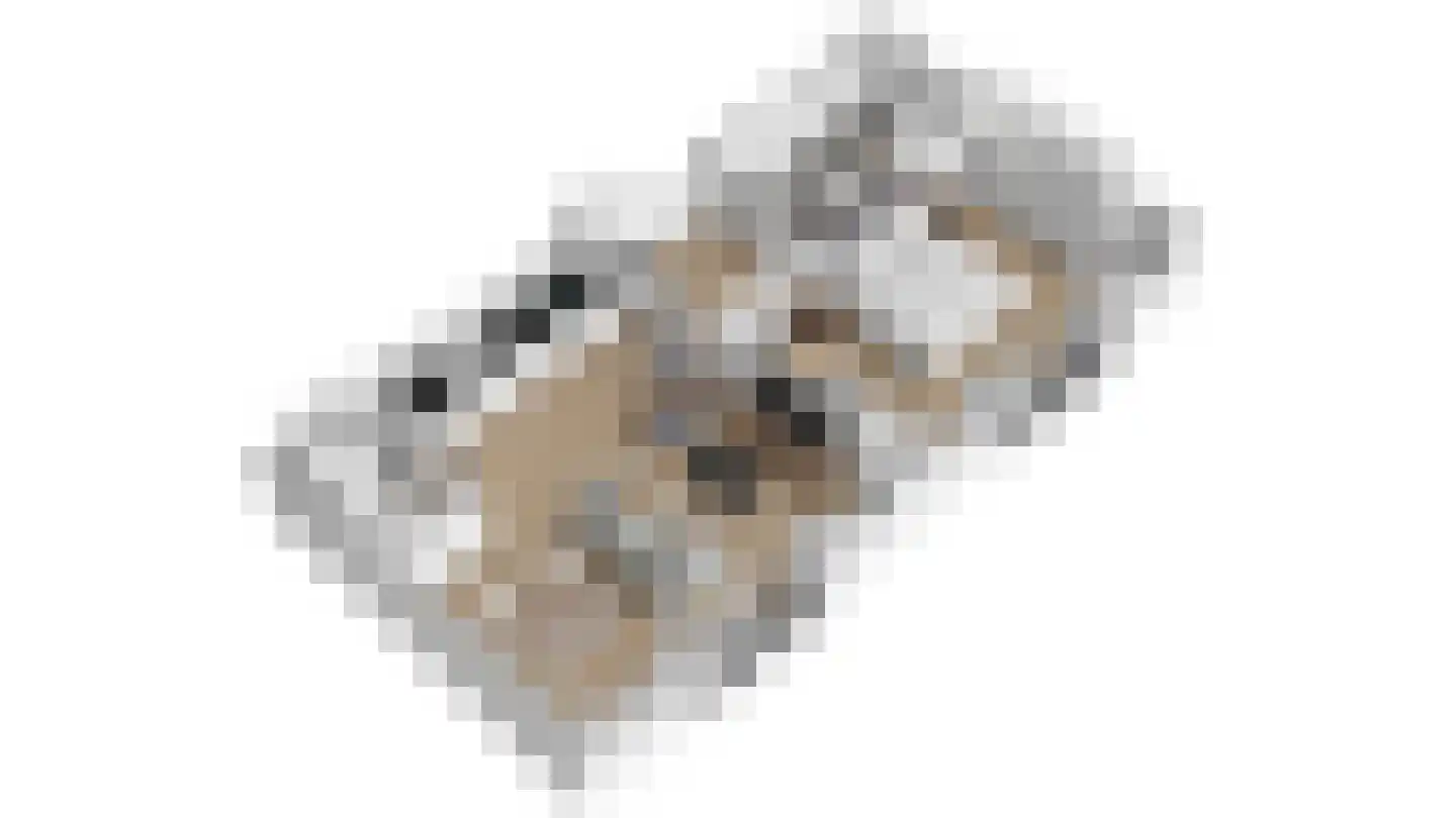 Jonkheer Hobbe Baerdt van Sminiaplein 23 Burgum thumbnail 16