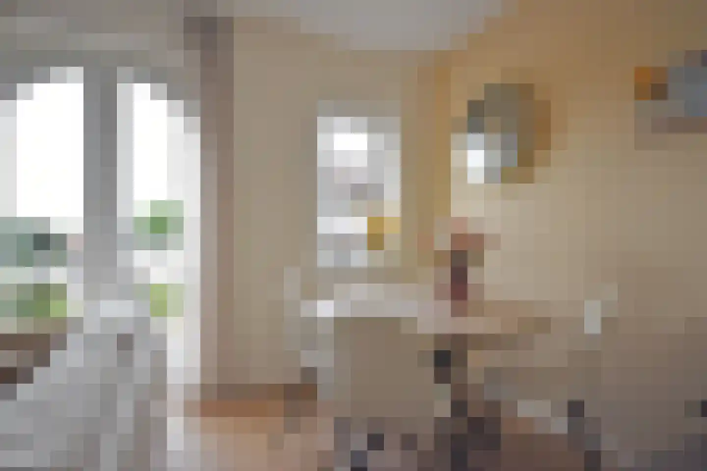 Jonkheer Hobbe Baerdt van Sminiaplein 23 Burgum thumbnail 22