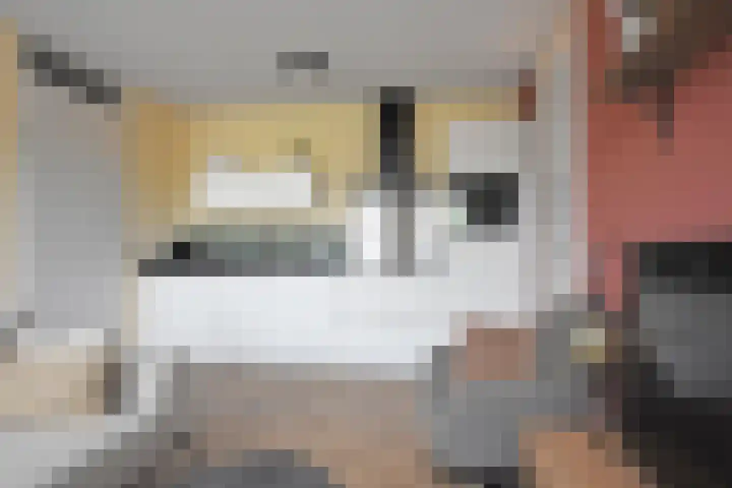 Jonkheer Hobbe Baerdt van Sminiaplein 23 Burgum thumbnail 23
