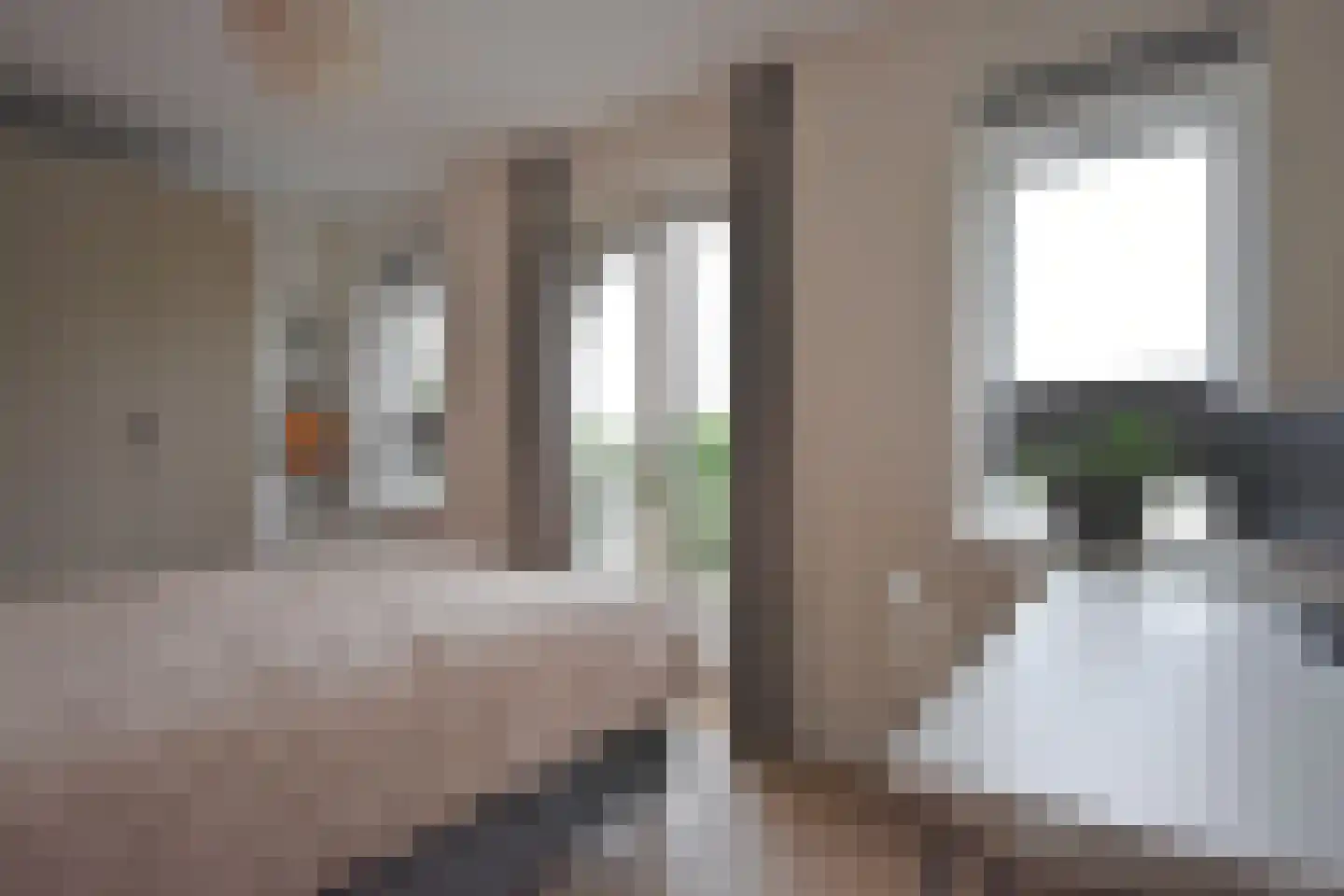 Jonkheer Hobbe Baerdt van Sminiaplein 23 Burgum thumbnail 28