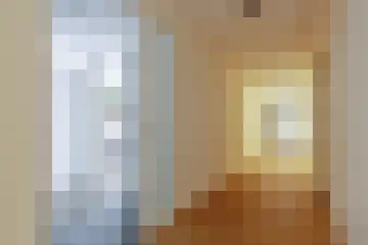 Jonkheer Hobbe Baerdt van Sminiaplein 5 Burgum thumbnail 10