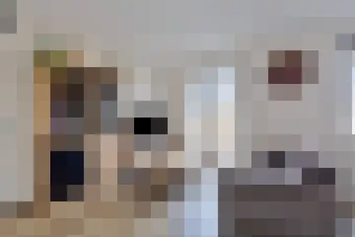 Jonkheer Hobbe Baerdt van Sminiaplein 5 Burgum thumbnail 12