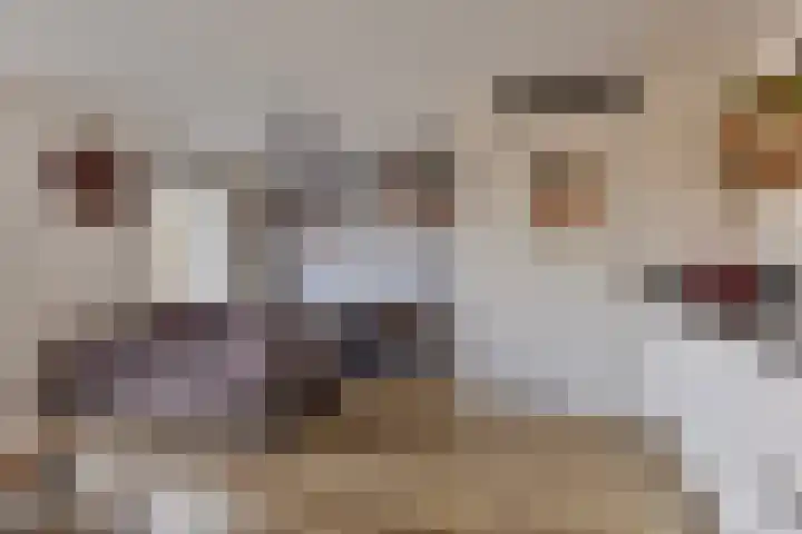 Jonkheer Hobbe Baerdt van Sminiaplein 5 Burgum thumbnail 13
