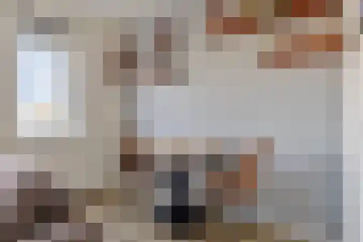 Jonkheer Hobbe Baerdt van Sminiaplein 5 Burgum thumbnail 14